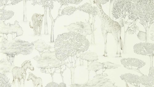 Shamwari  112243